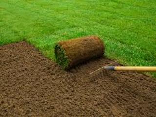 Lawn Leveling